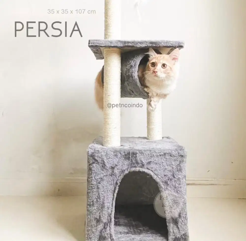Rumah Kucing Untuk Main