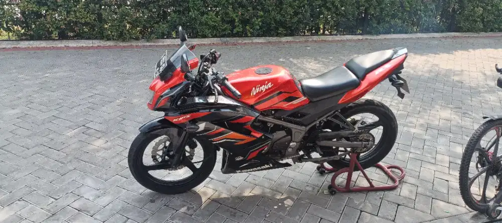 Ninja rr new  2015
