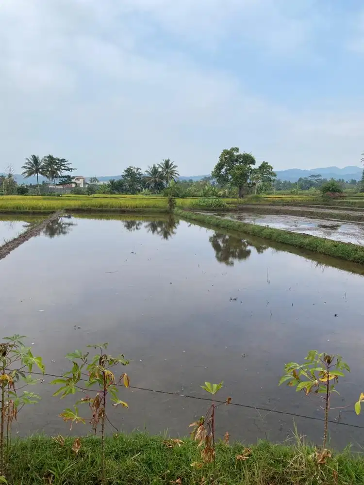 Dijual tanah 22 bata