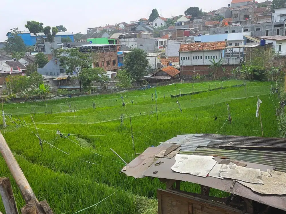 Tanah Dijual [1499 m2] Lokasi Kabupaten Bandung
