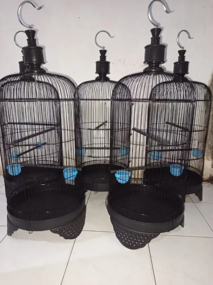 Sangkar Lb baru DM 33