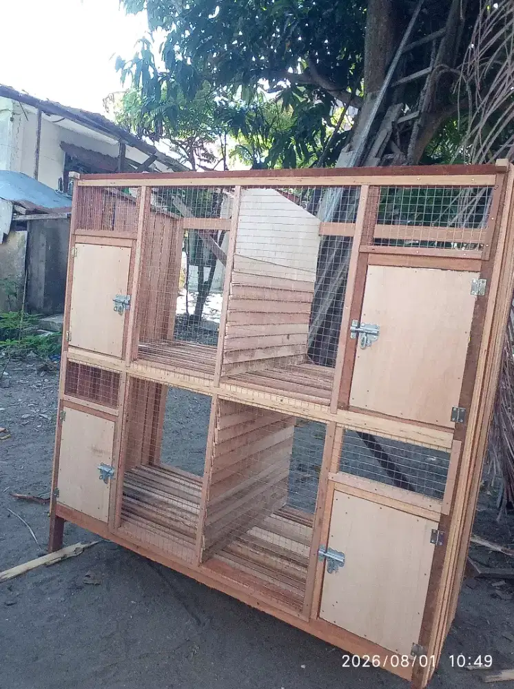 Kandang 4 pintu