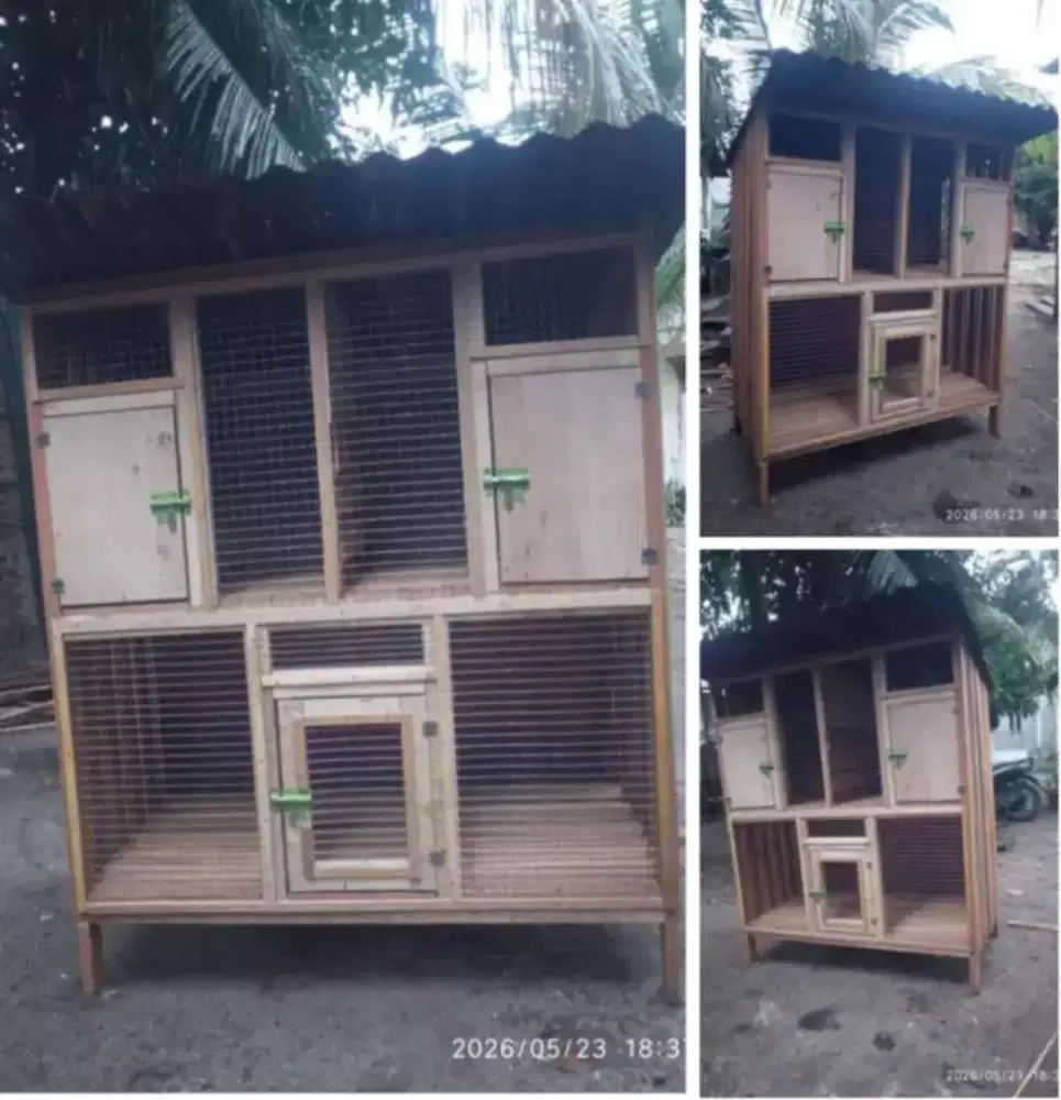 Kandang 3 pintu