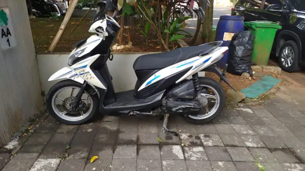 vario 110 (agnes)