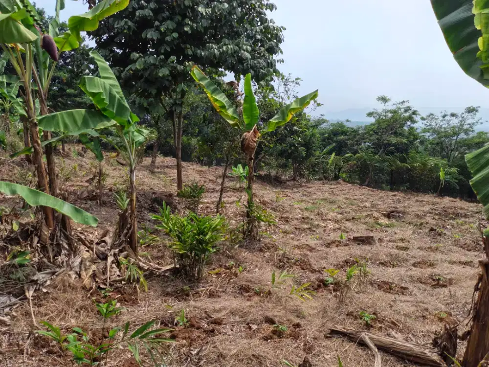Di jual lahan strategis 350.000 pinggir jalan