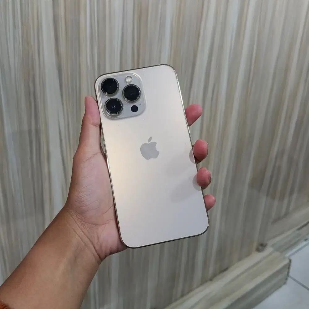 Iphone 13 Pro 128Gb (Wifi Only)