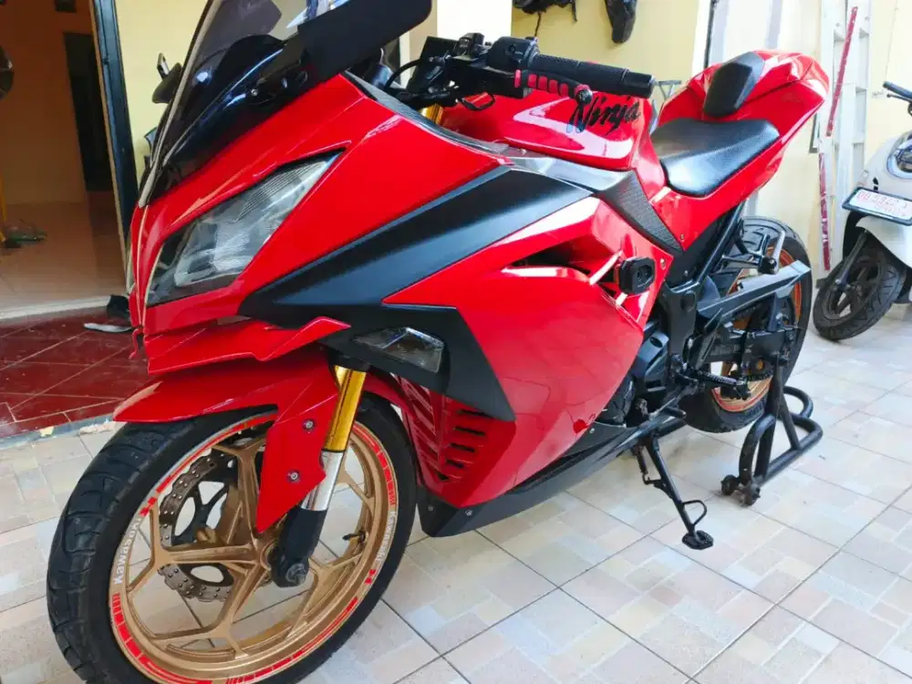 Kawasaki Ninja 250 cc F1 2014 body mulus sdh variasi