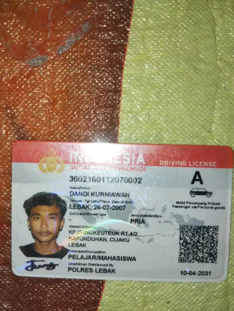 Cari kerja supir apa saja