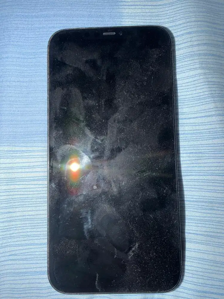 Iphone 12 pro max 256