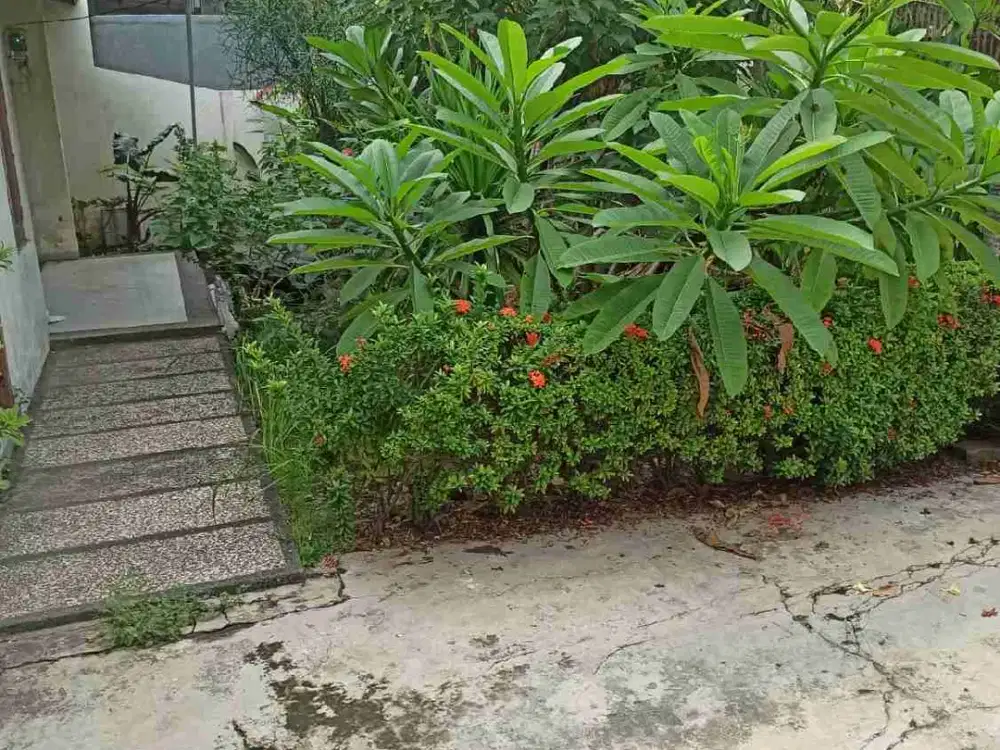 RUMAH HIT TANAH MURAH POL - RUNGKUT ASRI DEKAT KAMPUS UPN UBAYA UINSA RAYA MERR TRANSMART RUNGKUT SURABAYA