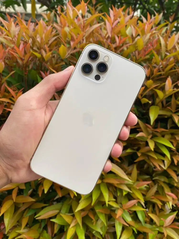 Iphone 12 Pro 256gb Gold