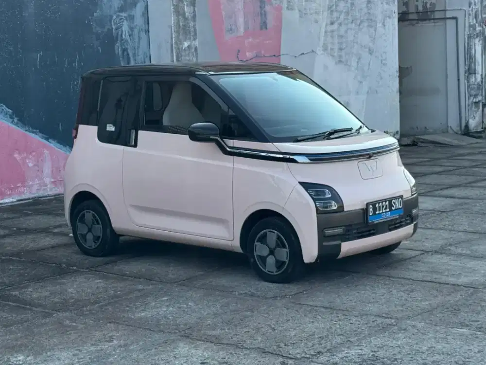 Cash !! Air Ev Long Range 300km 2022