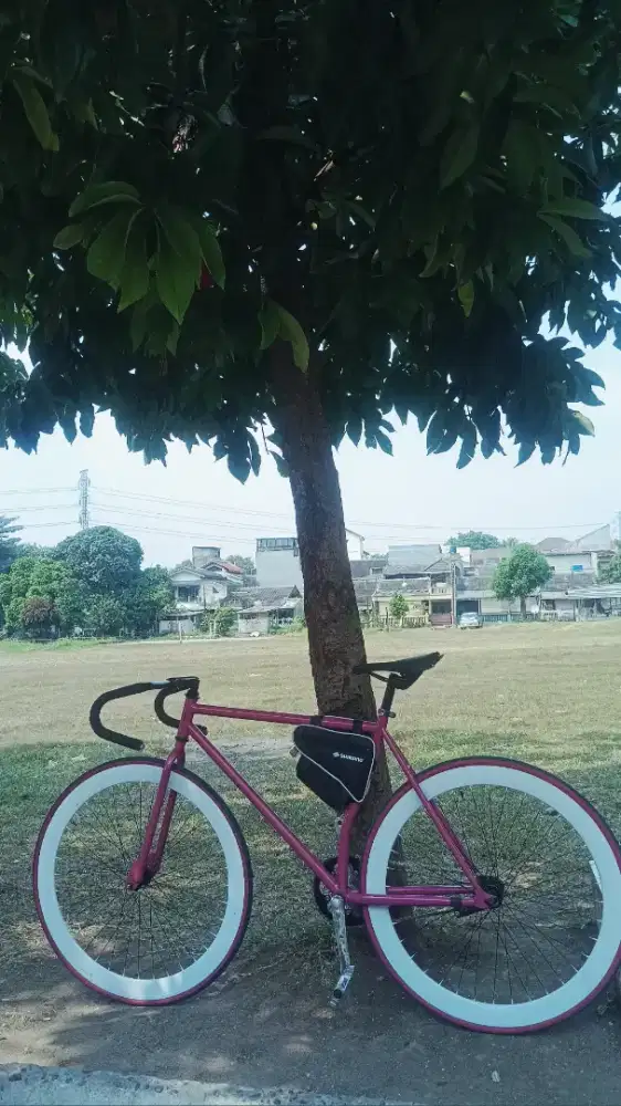 Di jual sepeda fixie lokal S
