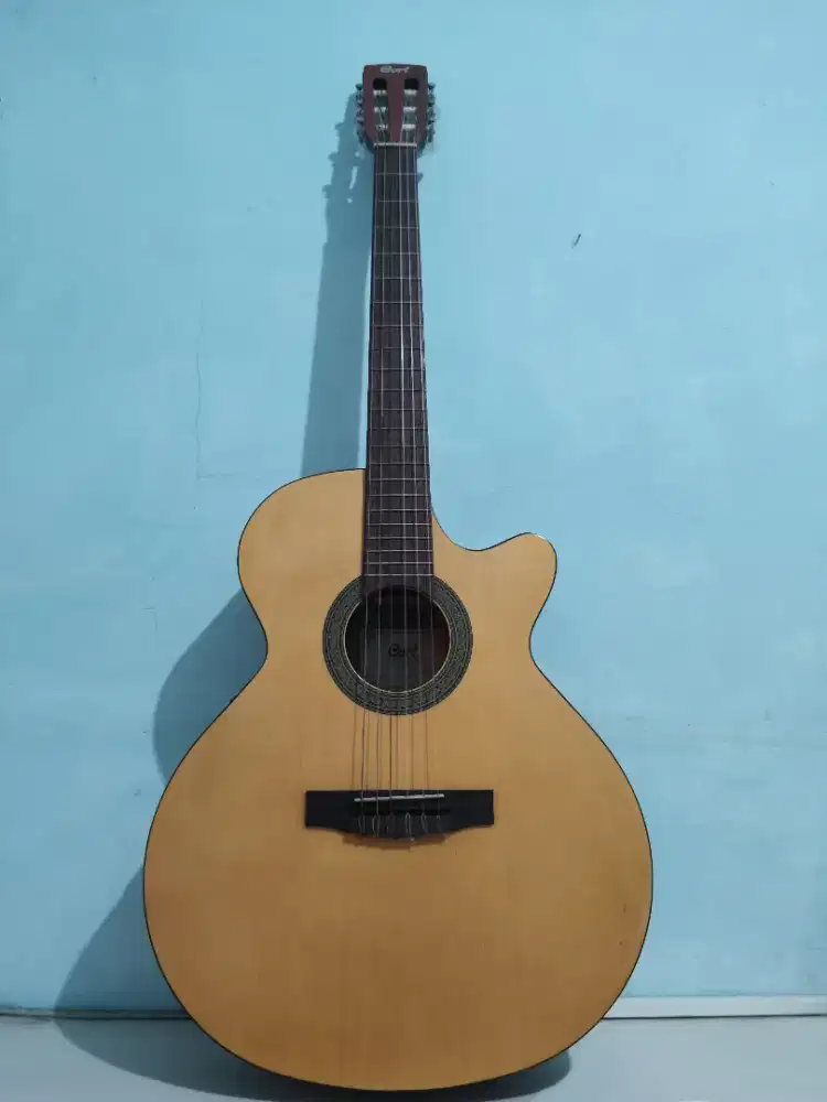 Gitar Acoustic Electric CEC1