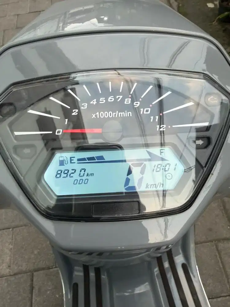 Wmoto Greeta 2024