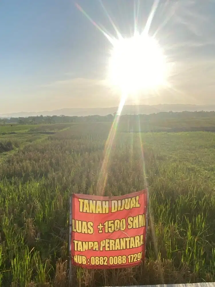DI JUAL TANAH SHM 1500 TANPA PERANTARA