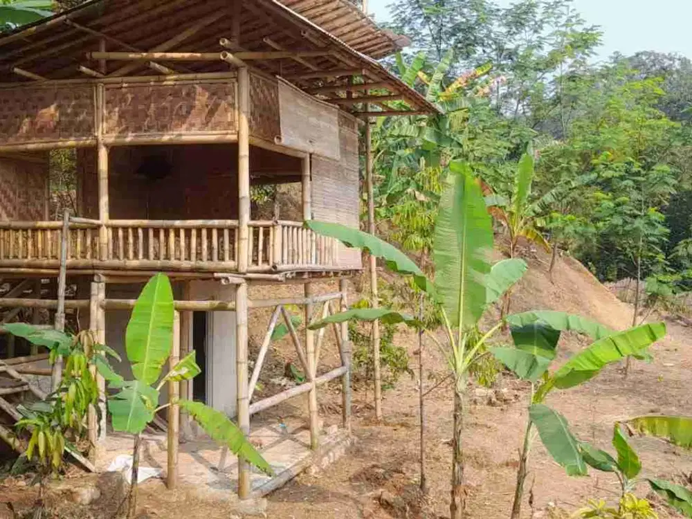 Tanah Kebun Buah Produktif