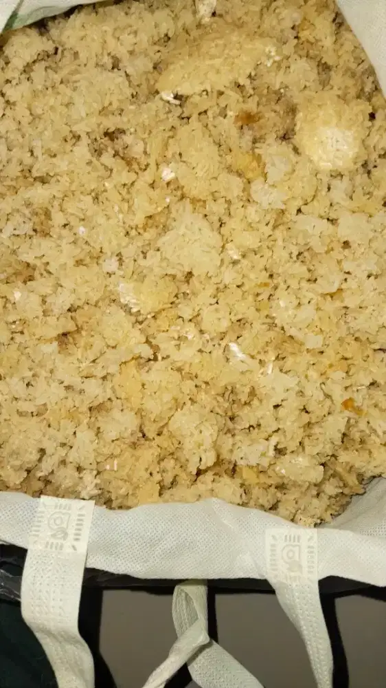 Nasi Aking/Kering Layak Konsumsi