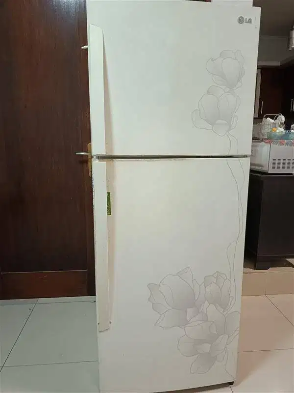 Kulkas 2 Pintu 354L LG GN-M492GPC
