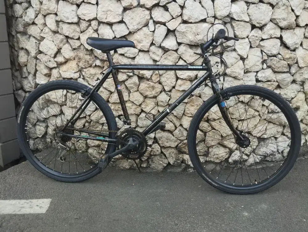 Dynamic Wanderer 4130 Chromoly MTB Vintage Original - Langka