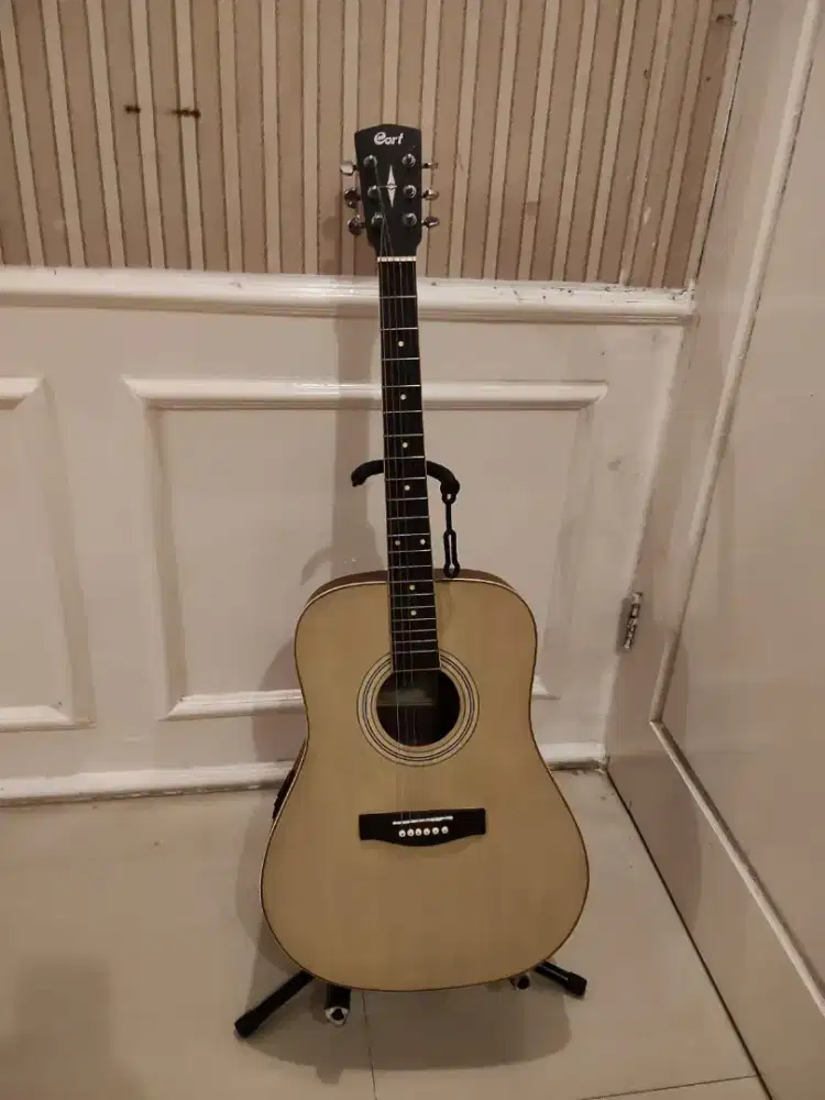 guitar cort ad810. gitar