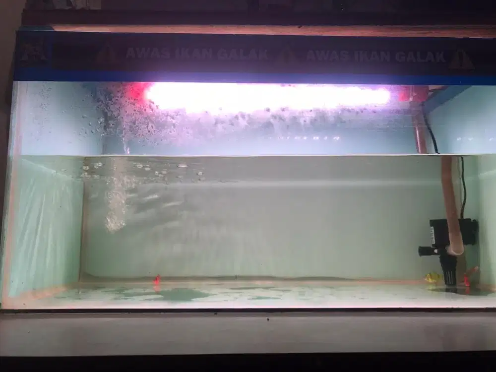Aquarim ful set