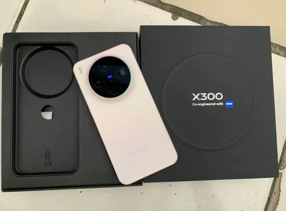 Vivo X300 12/256