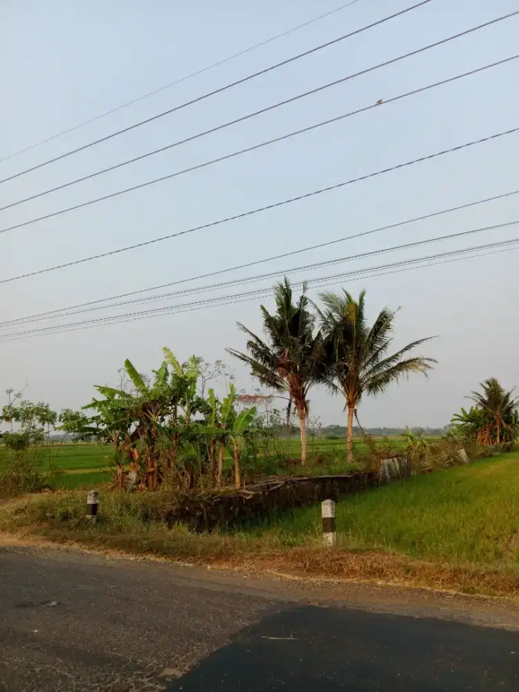 DIJUAL TANAH STRATEGIS PINGGIR JALAN RAYA MOYUDAN-SLEMAN