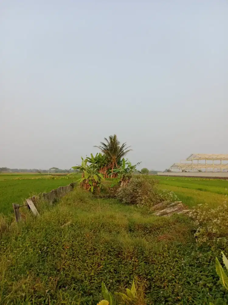 DIJUAL TANAH STRATEGIS PINGGIR JALAN RAYA MOYUDAN-SLEMAN