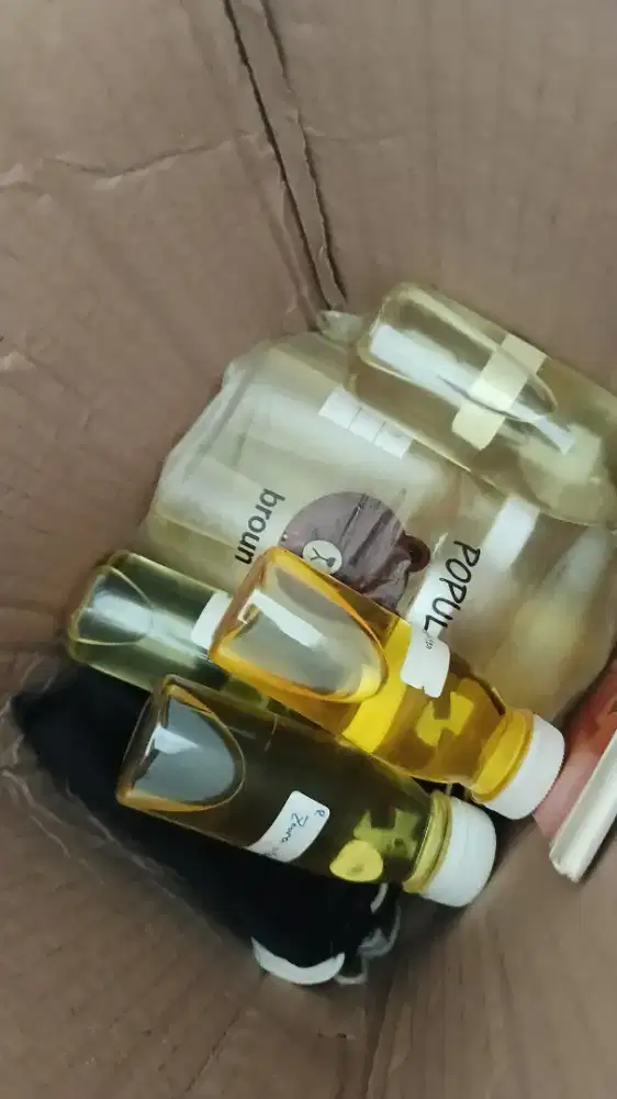 Bibit minyak wangi