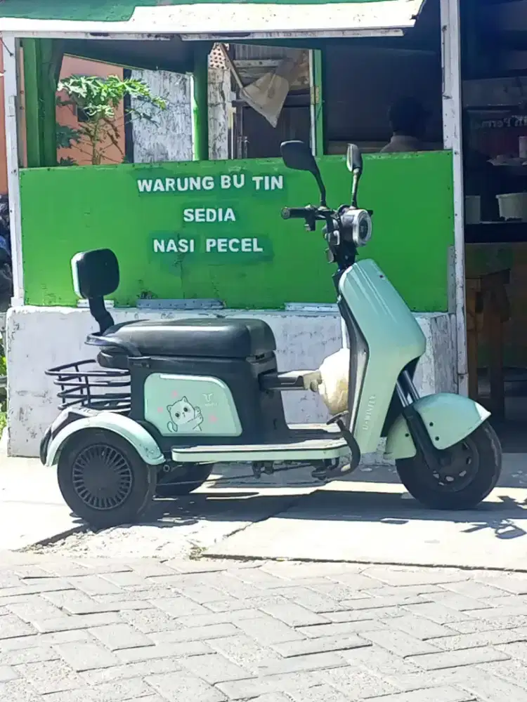 Sepeda Listrik roda tiga U-Winfly