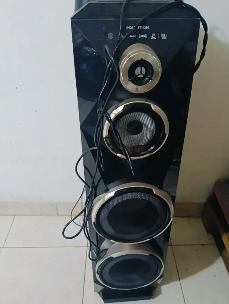 Speaker Polytron