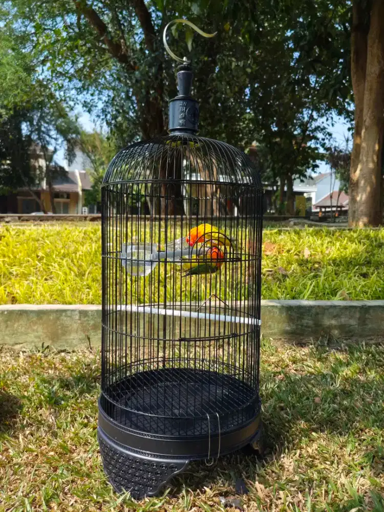 sangkar lovebird, LB, love bird, parkit hitam merek panda, cc,dragon