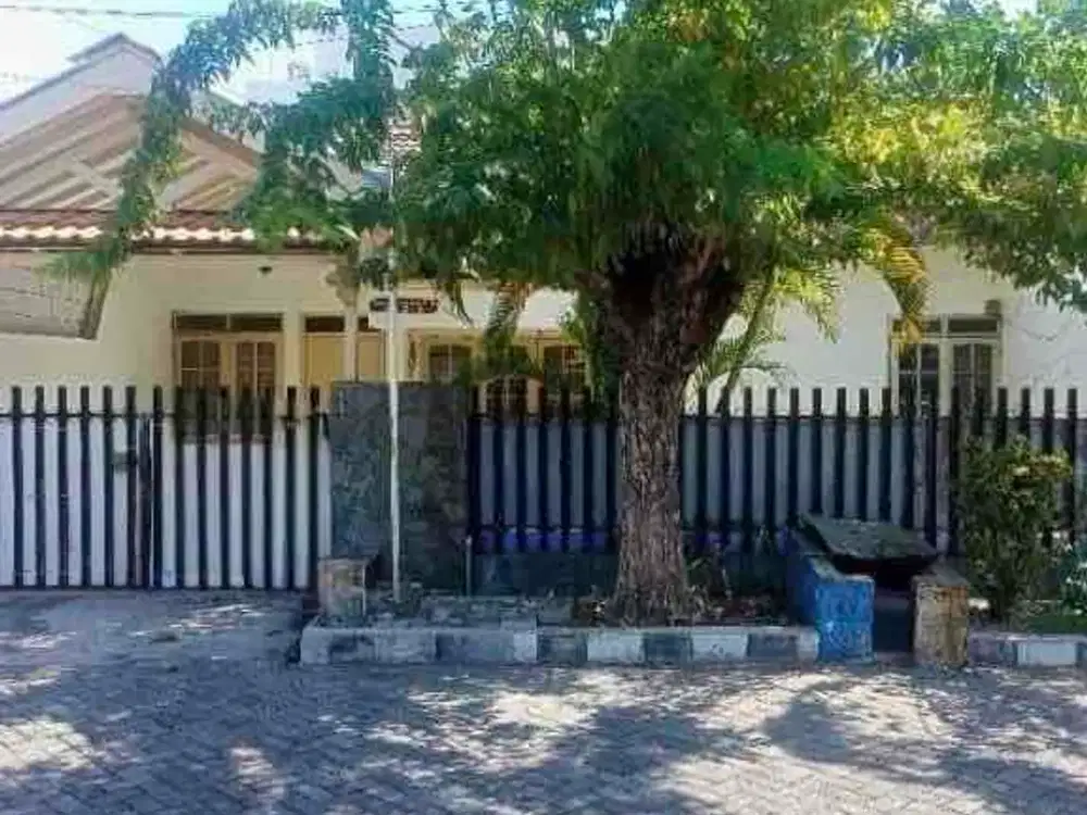TERMURAH‼Rumah kutisari luas 200 m2 row jalan lebar cuma 1M an