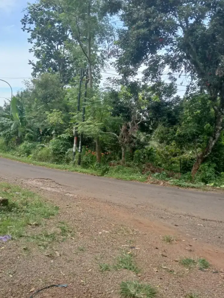 tanah kebun strategis pinggir jln kabupaten
