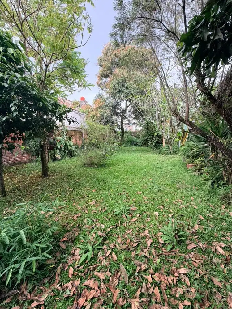 dijual tanah shm