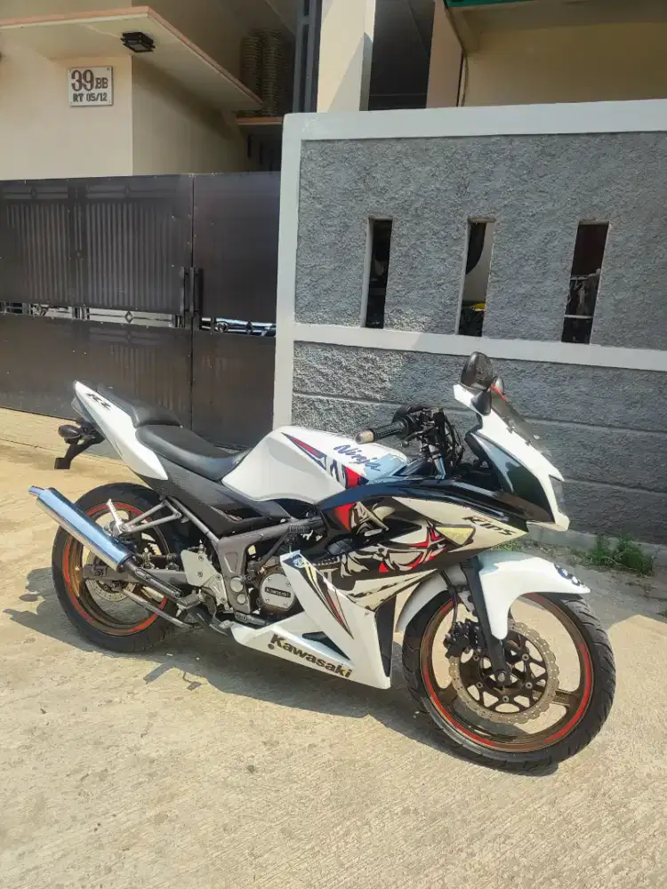 Kawasaki Ninja RR New Tahun 2013 Special Edition