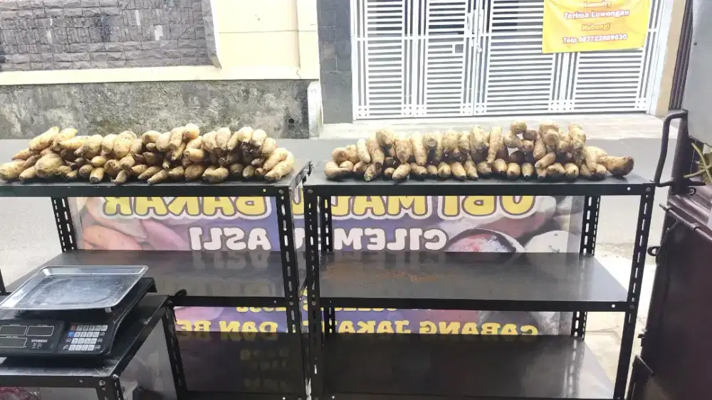 Lowongan kerja kios ubi Cilembu