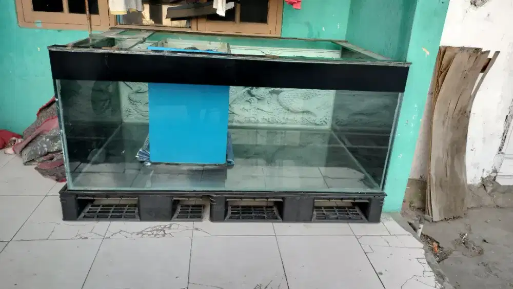 Aquarium / tank