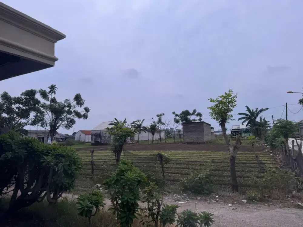 DI JUAL SEBIDANG TANAH