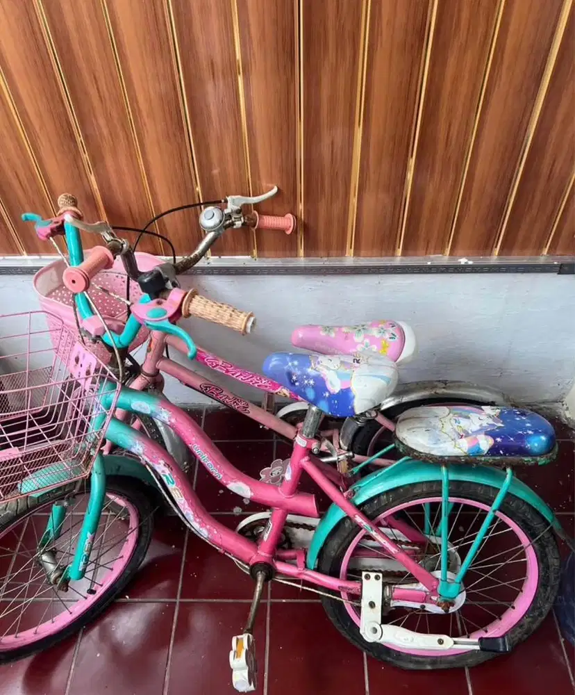 2 Sepeda Cewek Anak