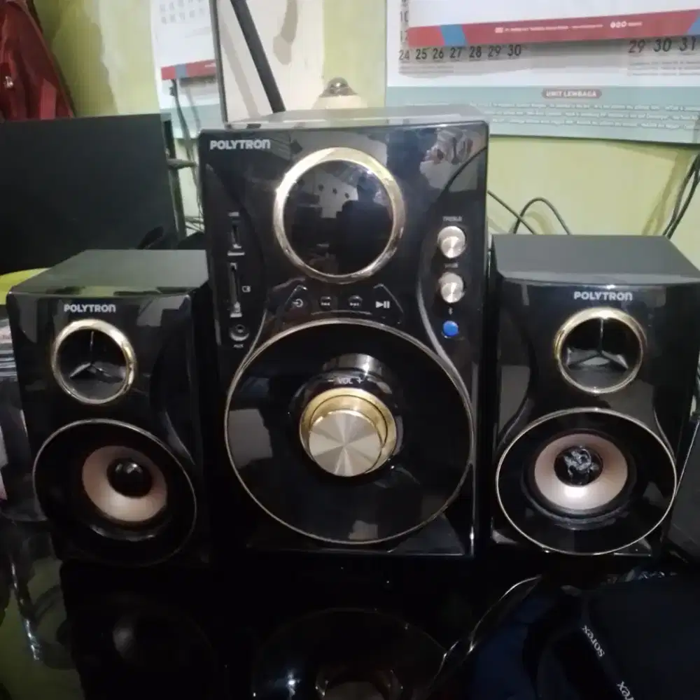Polytron pma 9310