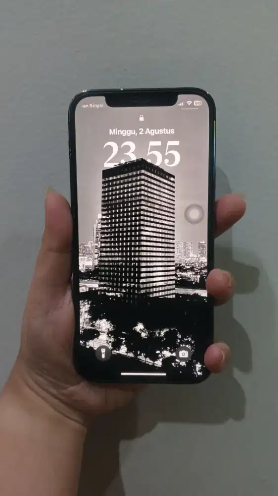 iPhone 12 Pro 256GB