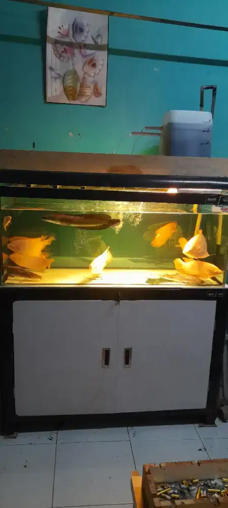 Dijual Aquarium Fullset