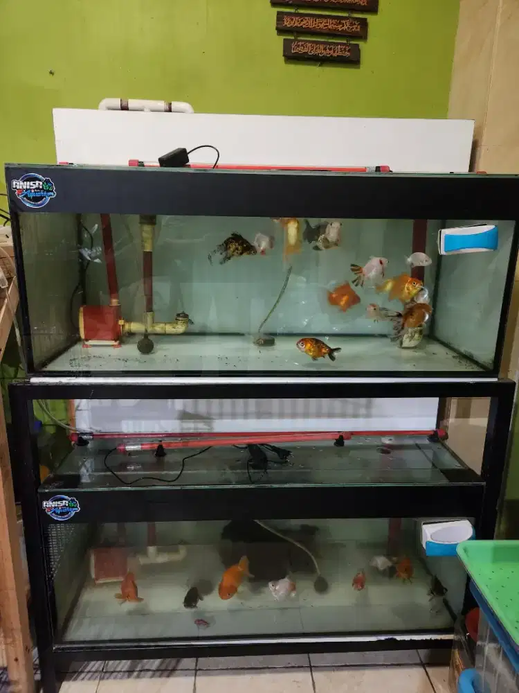 Aquarium 2 susun