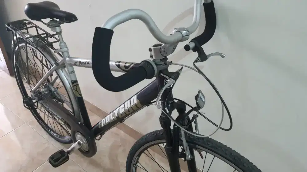 Polygon Orion Vintage