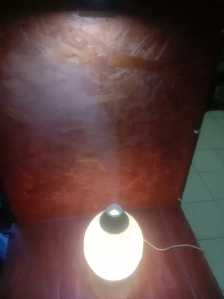 Young Living Desert Mist Diffuser