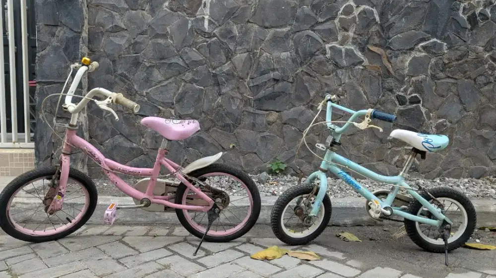 Sepeda Polygon anak