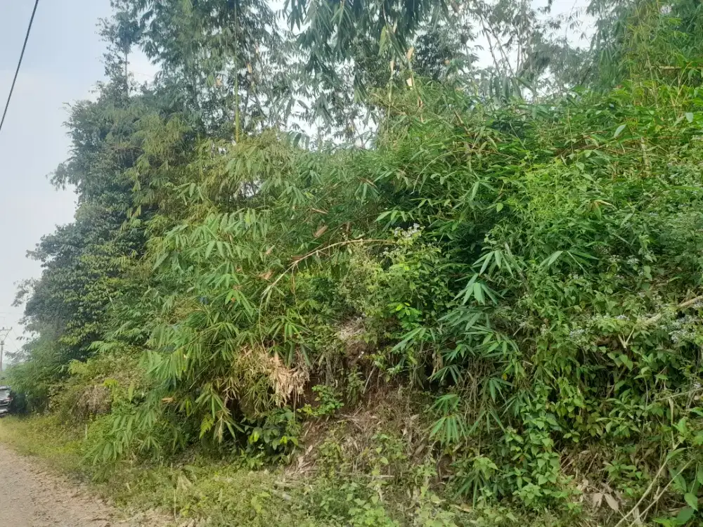 Jual murah tanah Cianjur (BU)