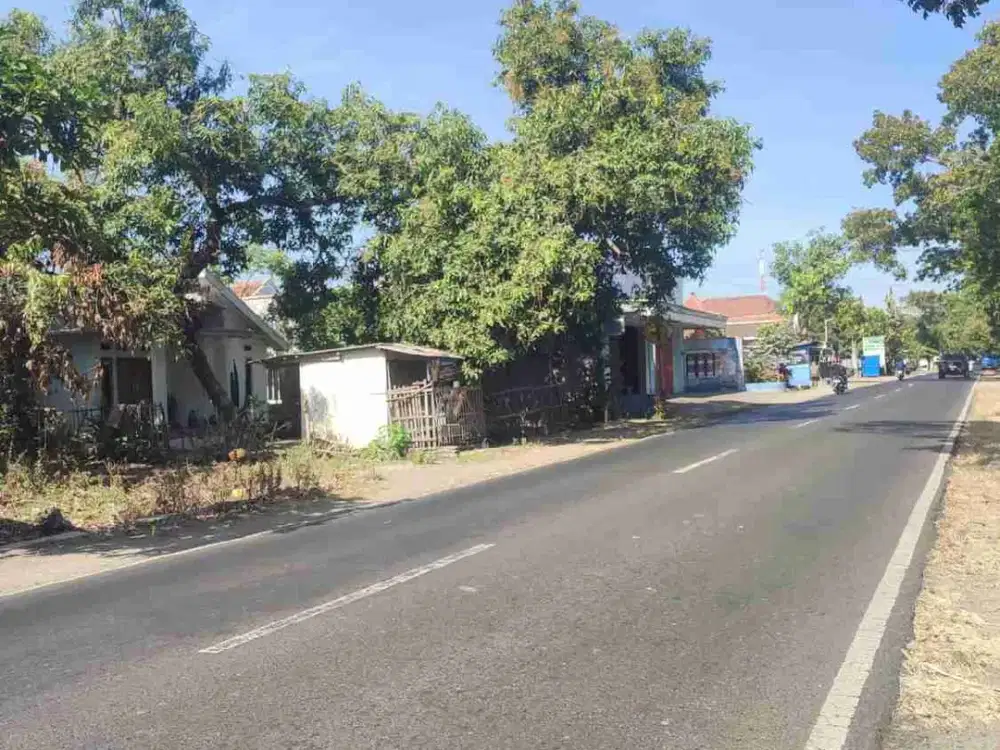 Dijual tanah di Jln Raya Situbondo